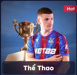 Cá Cược Thể Thao DE88